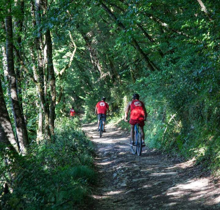 Cycling in the Dordogne
