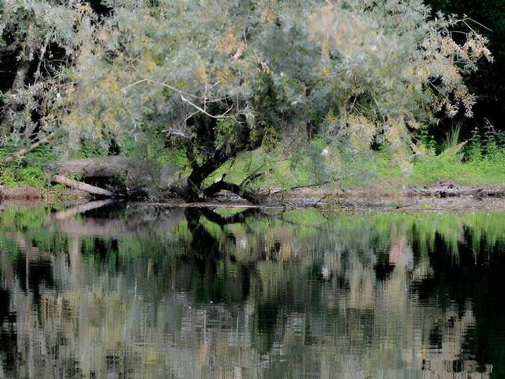 Rivière randonnée en canoë et kayak Dordogne